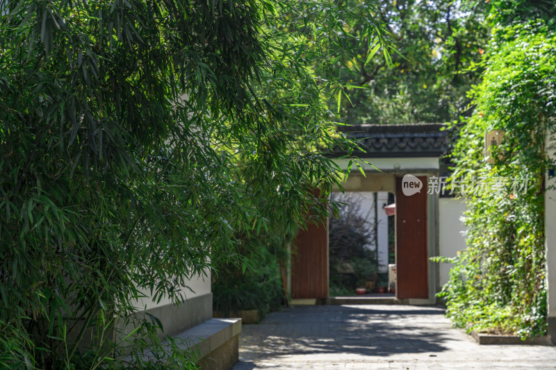 杭州吴山景区伍公庙风景