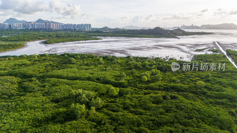 香港米埔自然护理区