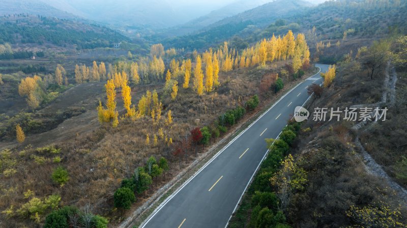 秋天乡村自然风景公路交通