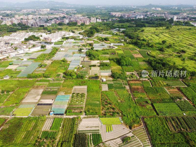 乡村农田航拍俯瞰图