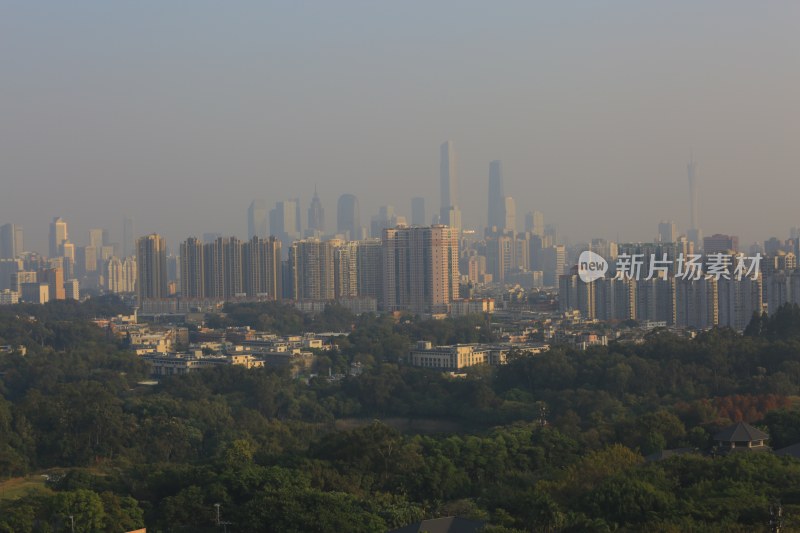 城市建筑群与绿植景观