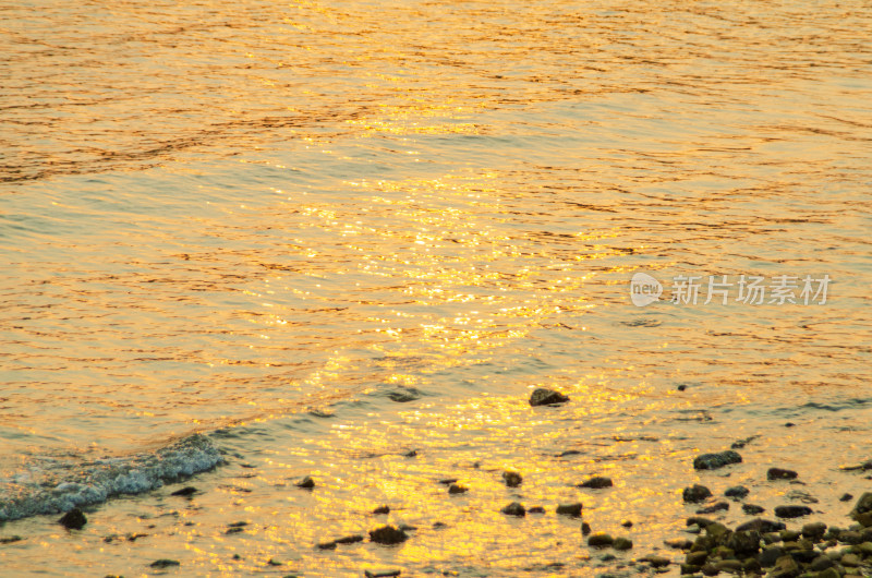 夕阳下金色的海浪