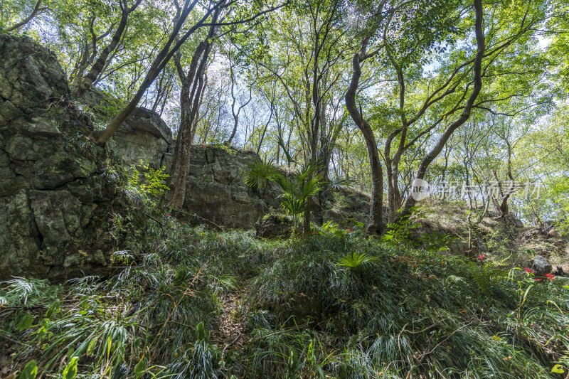 武汉江夏区白云洞景区风景