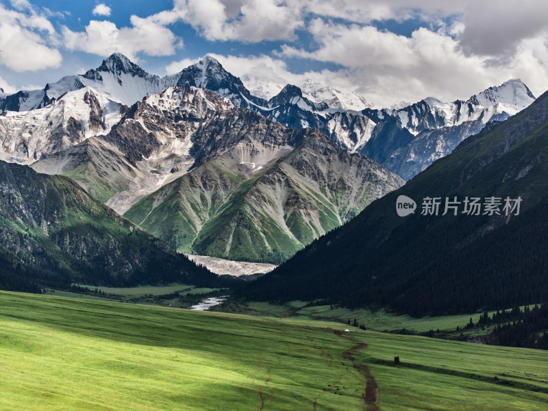 夏天的夏塔森林公园