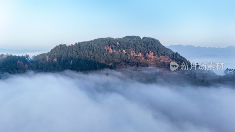 贵州沿河：红花盖下雾正浓