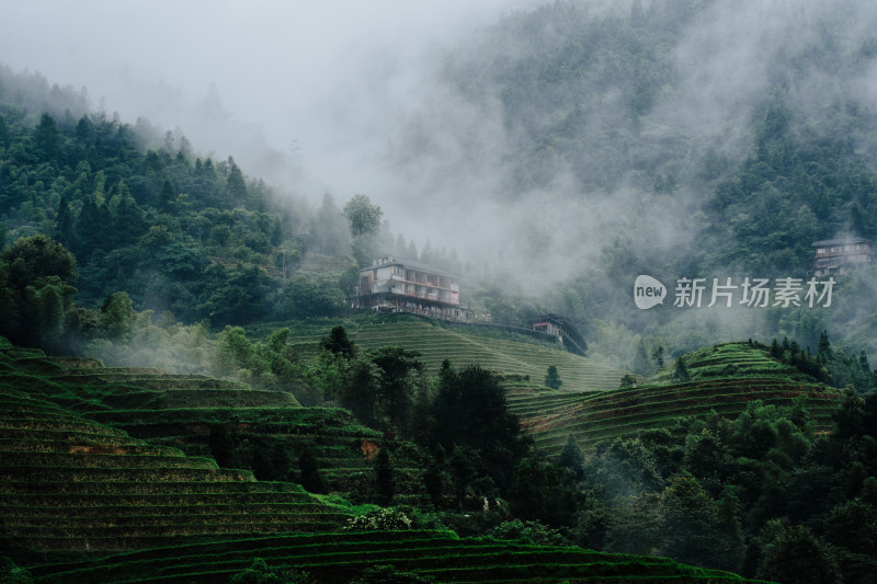 抹茶绿的桂林龙脊梯田