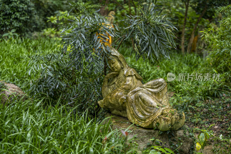 浙江普陀山双泉禅院风光