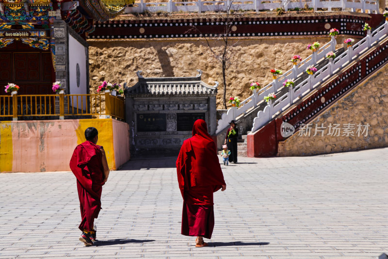 藏族寺庙僧人