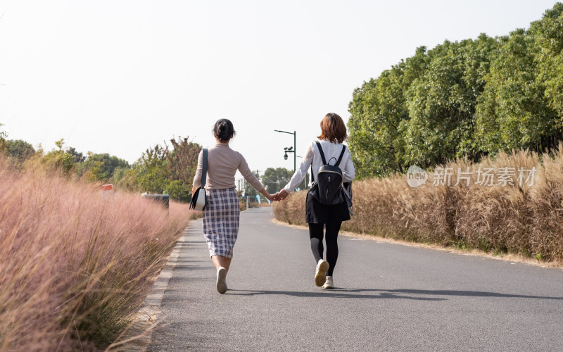 上海嘉北郊野公园粉黛乱子草人像