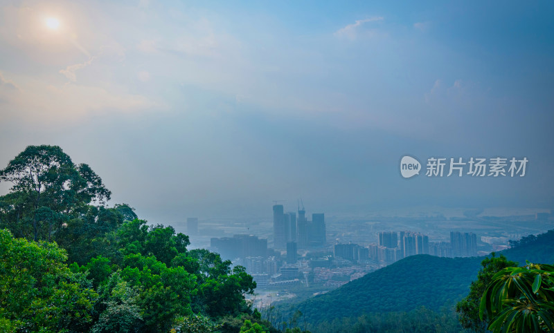 深圳南山公园看前海城市高楼建筑与海景