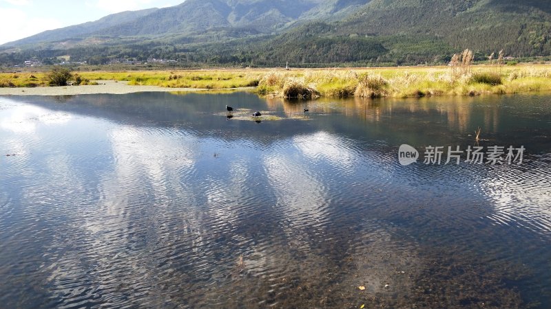 云南湿地公园