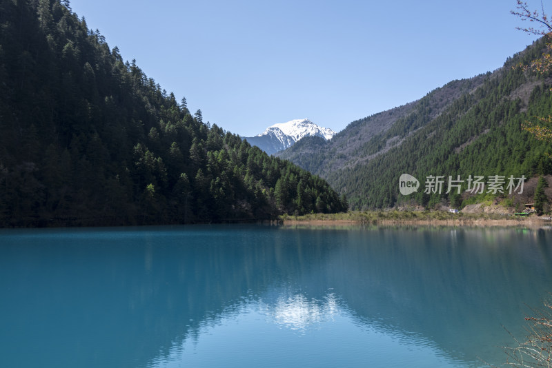 春日晴天九寨沟老虎海海子森林雪山