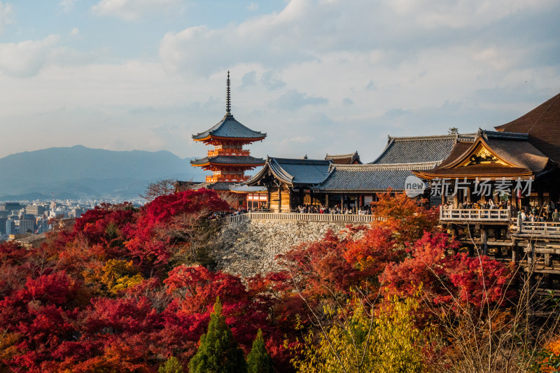 清水寺 塔 寺庙 枫叶