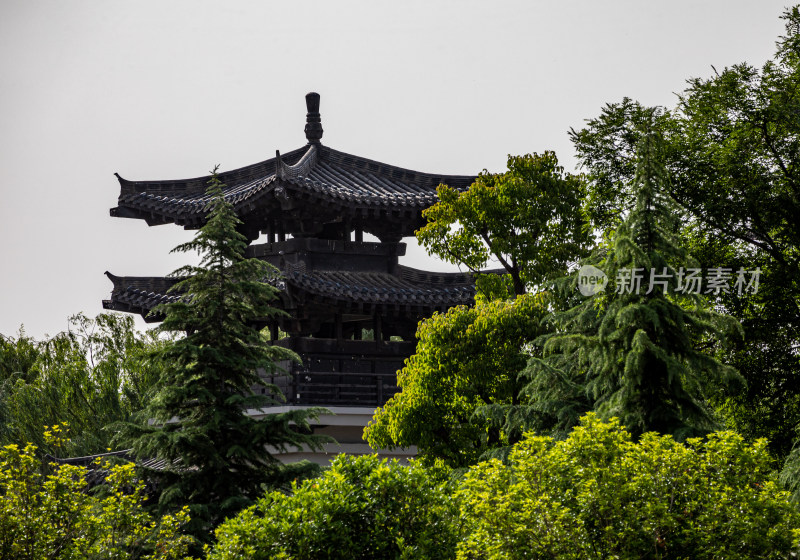 洛阳隋唐遗址植物园景点景观