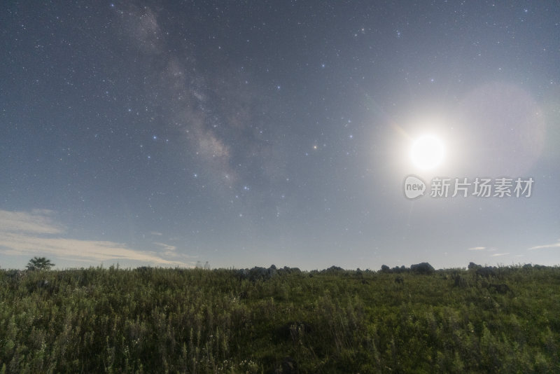 野外草地夜空璀璨星河的美丽景象