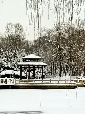 雪中公园凉亭景观，银装素裹静谧美好