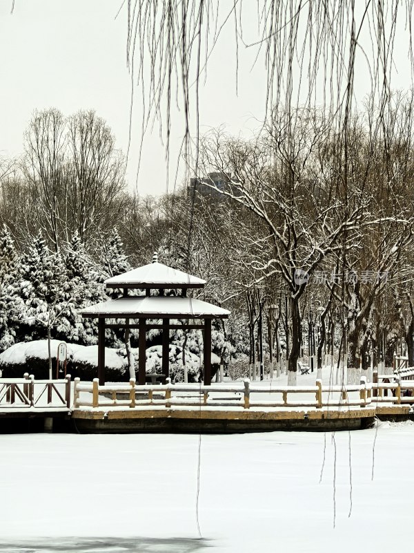 雪中公园凉亭景观，银装素裹静谧美好