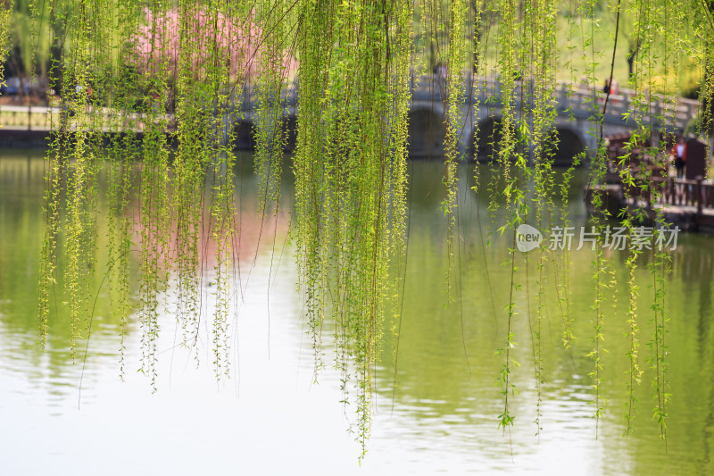 常虞山公园春天