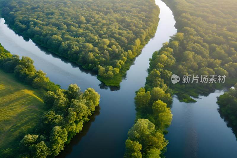 生态背景早晨河流树木