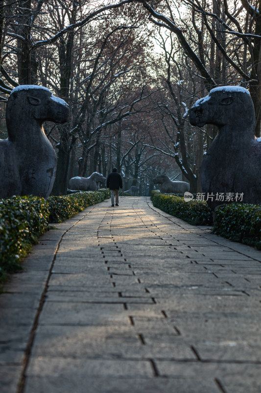 南京明孝陵石象路神道雪景