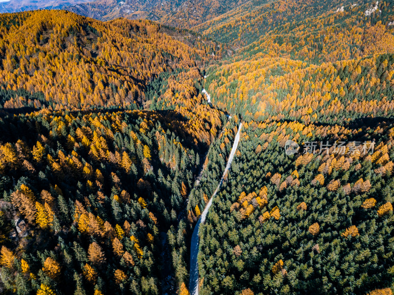 山西太原忻州荷叶坪芦芽山航拍