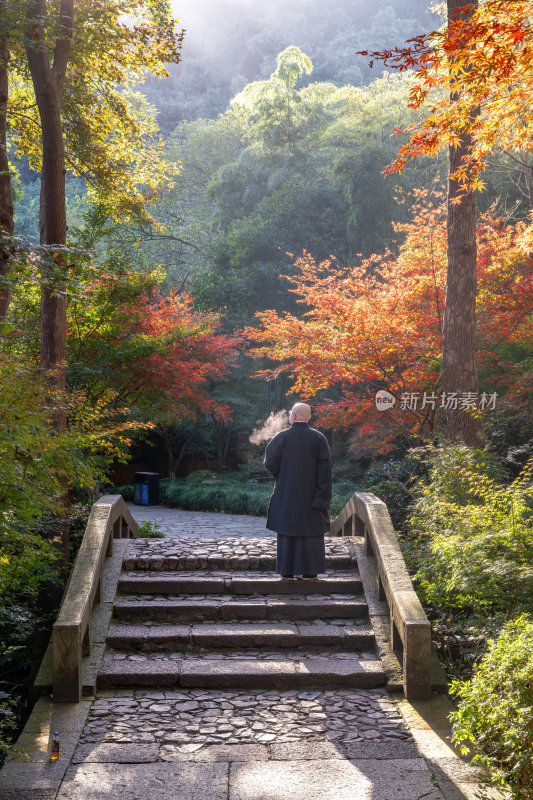 浙江杭州永福禅寺古寺秋景枫树红叶禅意