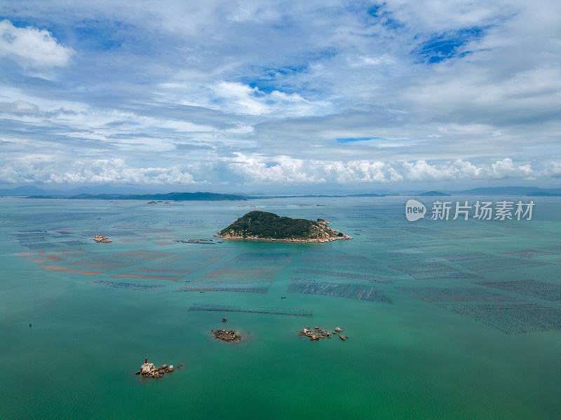 大海海水养殖基地海洋牧场