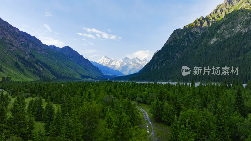 航拍雪山森林河流风景