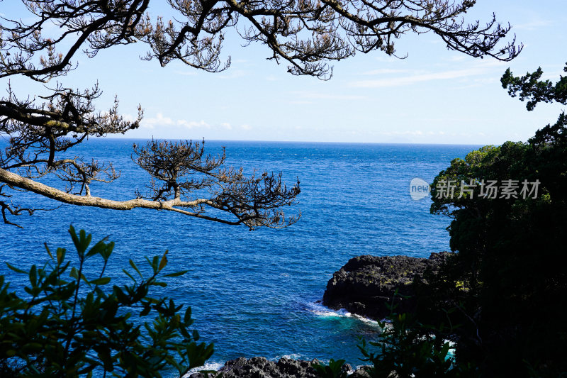 日本静冈县伊东市城崎海岸门胁吊桥一户建