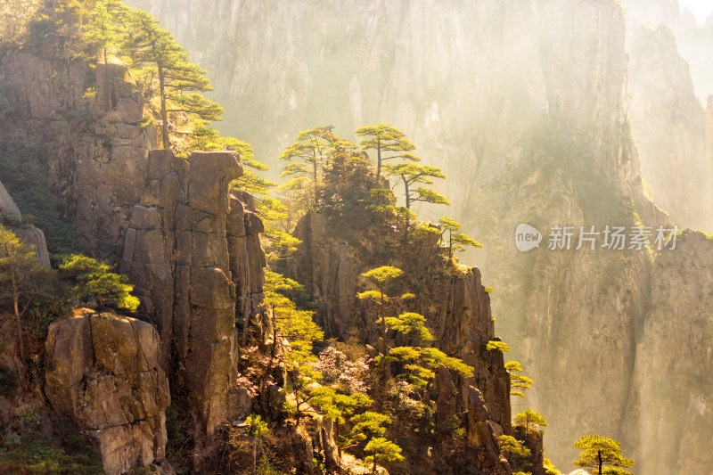 大美中国自然风光黄山风景区旅游景点