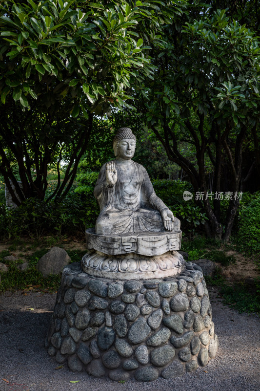 西安大雁塔大慈恩寺遗址公园释迦牟尼像景观