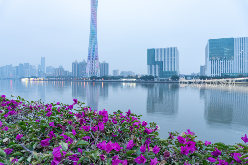 广州二沙岛珠江滨江案鲜花与广州塔