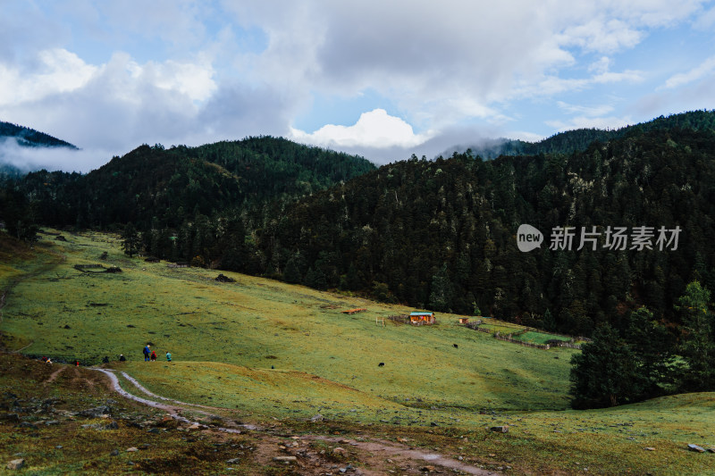 迪庆藏族自治州哈巴村羊房牧场兰花坪牧场