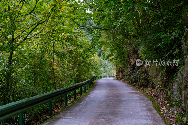 汉中留坝火烧店镇秦岭深处的山中小路