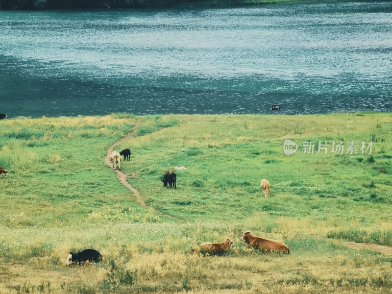 新疆喀纳斯湖风景