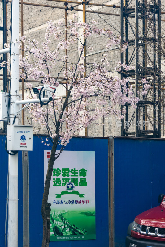 2024春季高山街街景