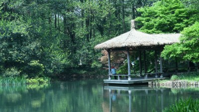 杭州西湖太子湾公园风景