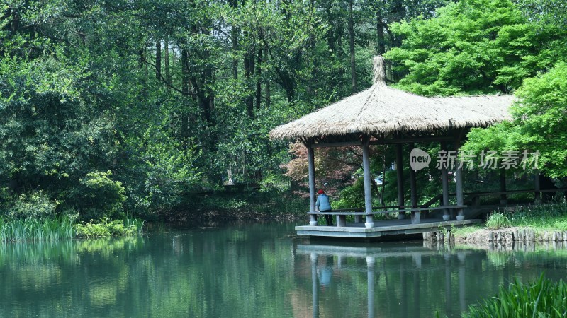 杭州西湖太子湾公园风景