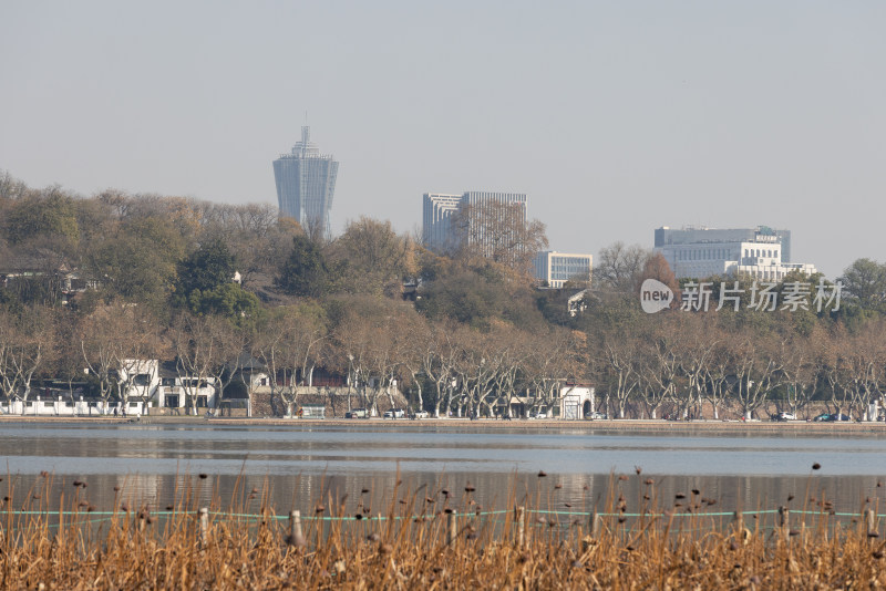 中国杭州西湖的残荷秋景与城市天际线