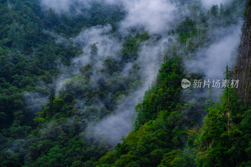 西藏林芝自然风光