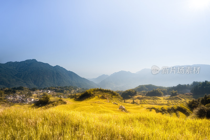 浙江丽水云和梯田的唯美日出