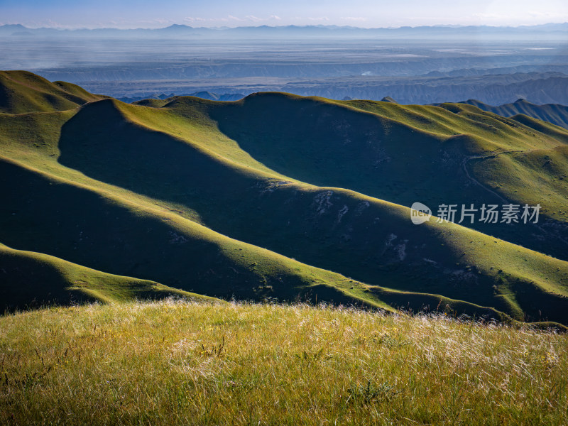 青海高山牧场