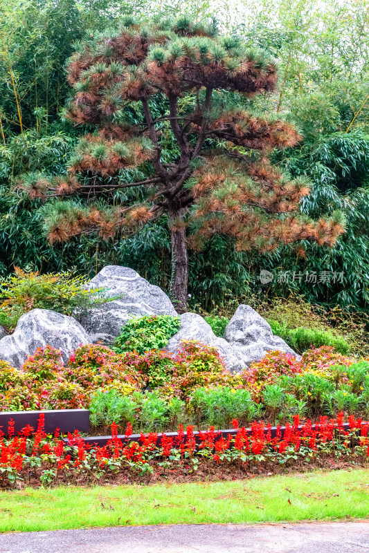 南京钟山风景名胜区明孝陵园林风景