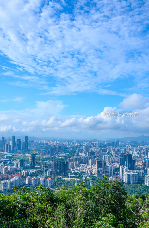 深圳南山公园望CBD摩天大楼繁华都市风光