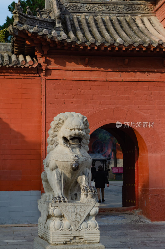 中国河南省洛阳市白马寺山门前的石狮子