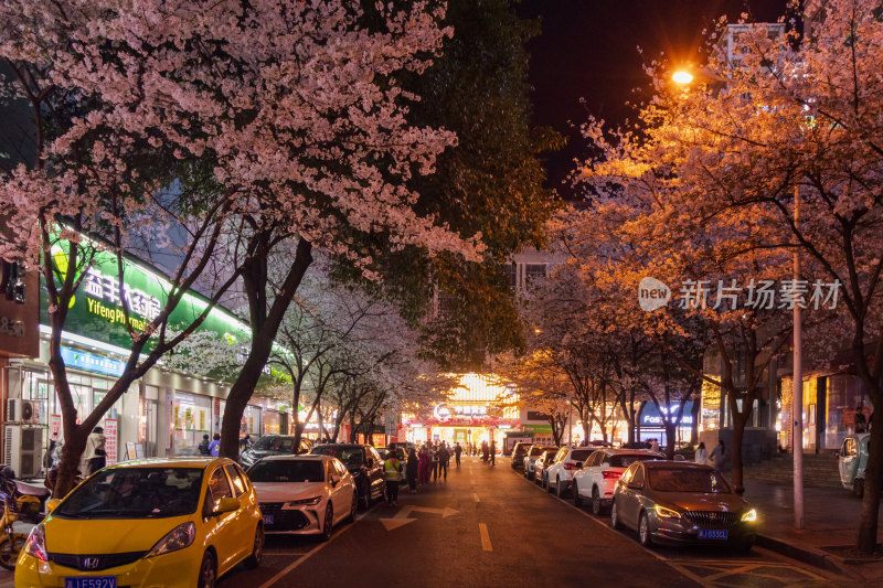 湖南常德府坪街春季樱花街道夜景