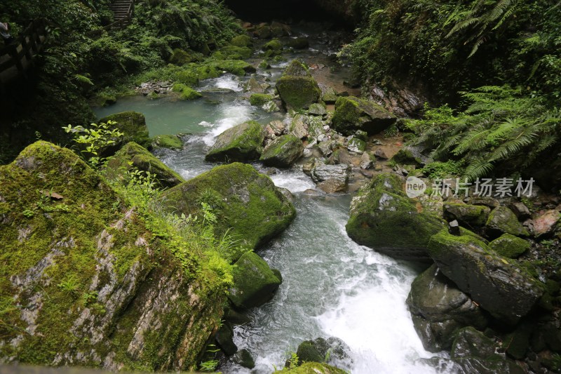 重庆仙女山景区风光