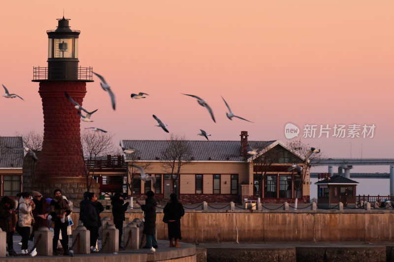 海边灯塔下人群与飞翔海鸥