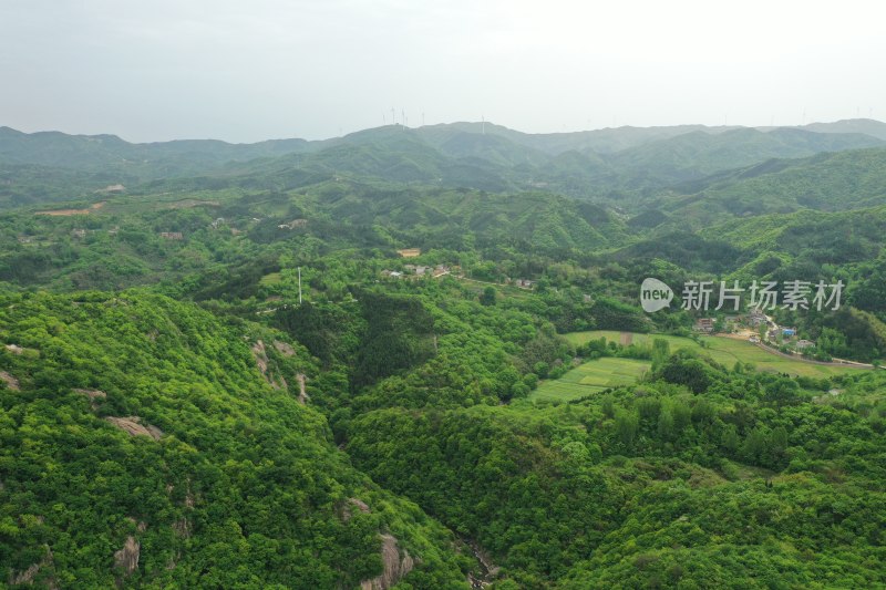 春意盎然的大别山