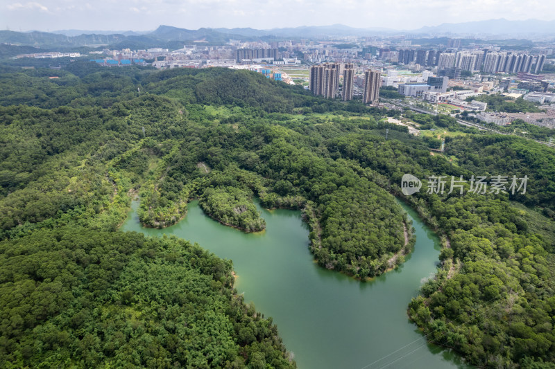 深圳龙华区茜坑水库